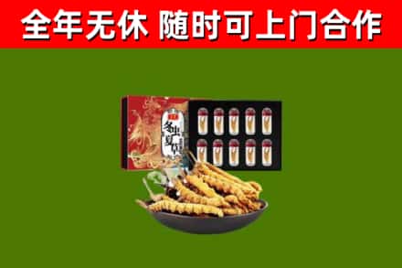 张家口回收冬虫夏草价格